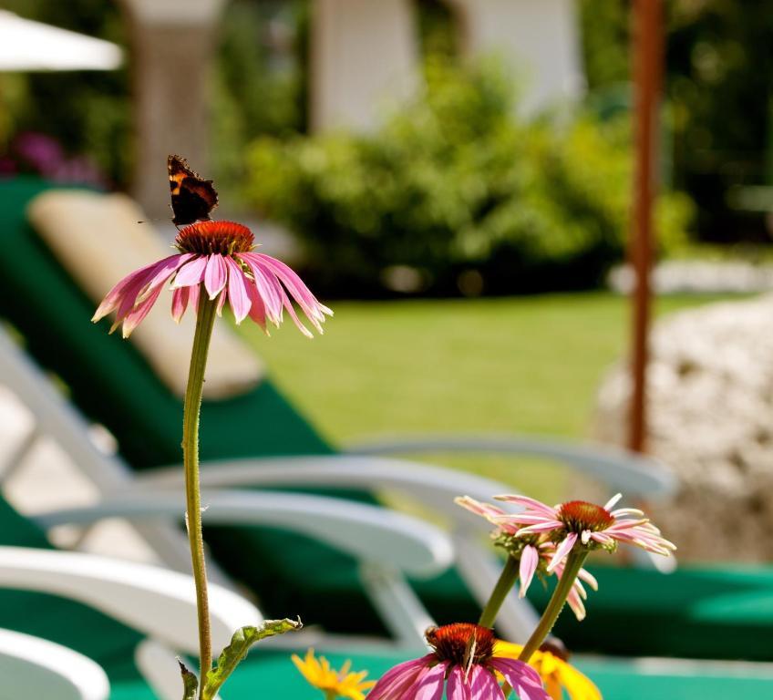 Hotel Laerchenhof Natur Зеефельд в Тироле Номер фото